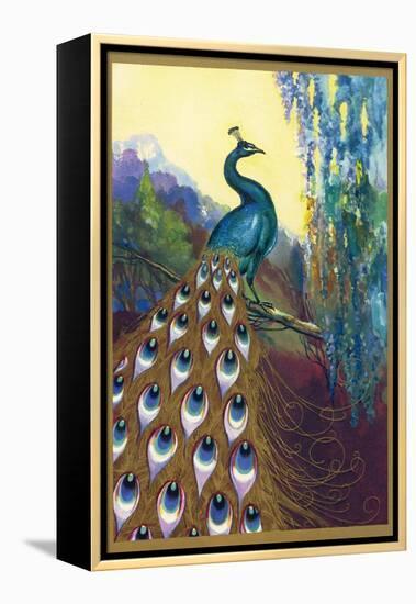 Ornamental Peacock-null-Framed Premier Image Canvas