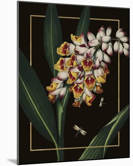 Ornamental - Picardy Luxe-Stephanie Monahan-Mounted Giclee Print