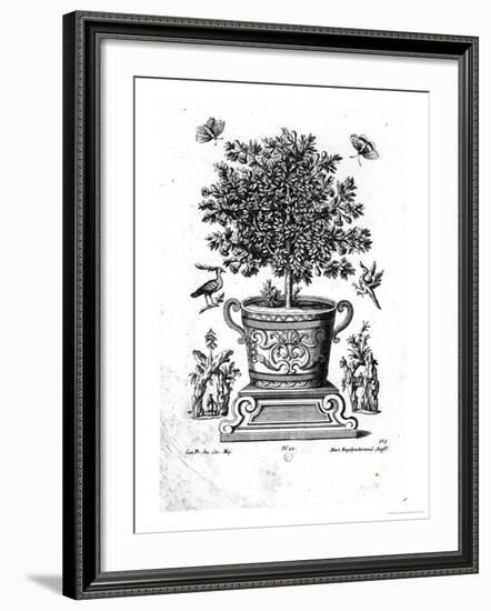 Ornamental Tree in an Urn on a Small Stage-Martin Engelbrecht-Framed Giclee Print