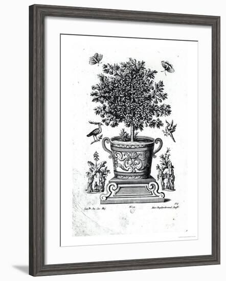 Ornamental Tree in an Urn on a Small Stage-Martin Engelbrecht-Framed Giclee Print