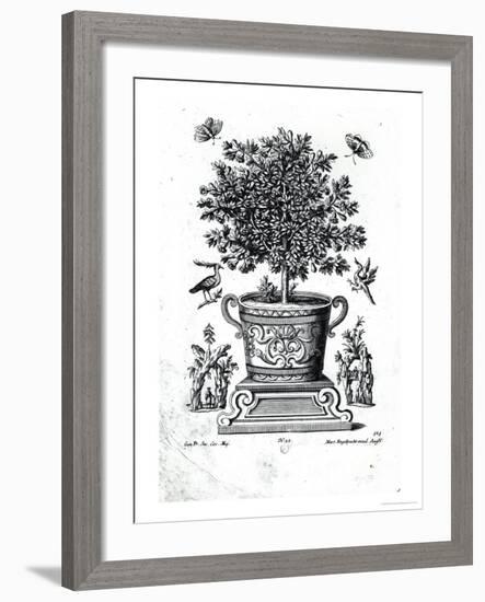 Ornamental Tree in an Urn on a Small Stage-Martin Engelbrecht-Framed Giclee Print