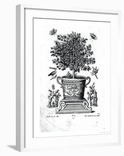 Ornamental Tree in an Urn on a Small Stage-Martin Engelbrecht-Framed Giclee Print