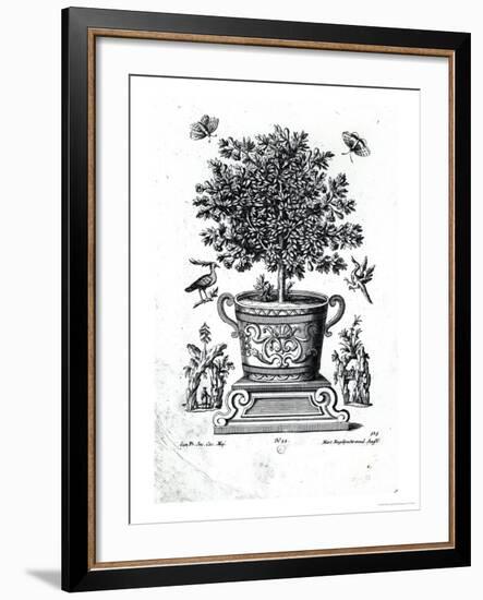 Ornamental Tree in an Urn on a Small Stage-Martin Engelbrecht-Framed Giclee Print