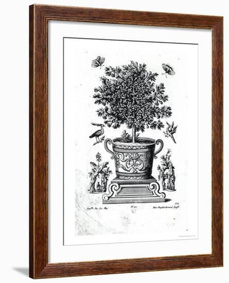 Ornamental Tree in an Urn on a Small Stage-Martin Engelbrecht-Framed Giclee Print