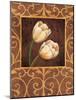 Ornamental Tulips-Andres Gonzales-Mounted Art Print
