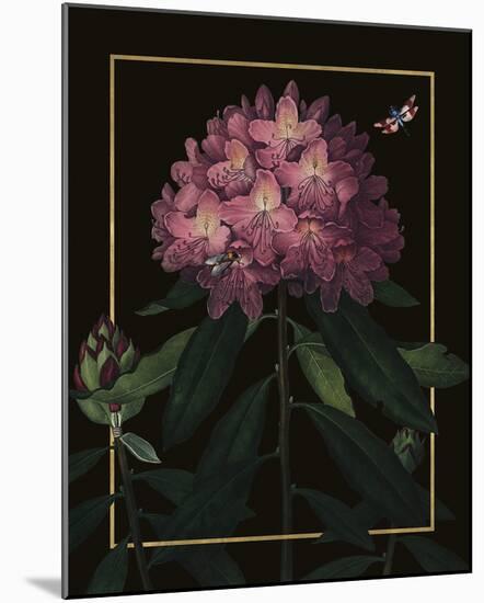 Ornamental - Vincennes Luxe-Stephanie Monahan-Mounted Giclee Print