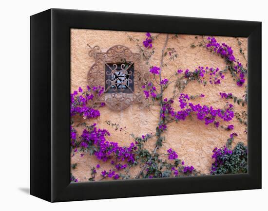 Ornamental Window, San Miguel De Allende, Mexico-Alice Garland-Framed Premier Image Canvas