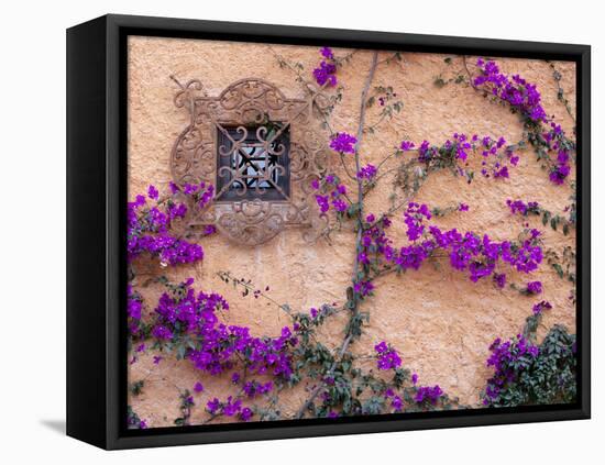 Ornamental Window, San Miguel De Allende, Mexico-Alice Garland-Framed Premier Image Canvas