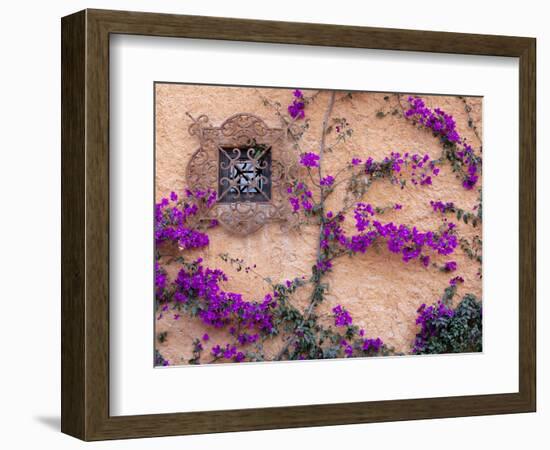 Ornamental Window, San Miguel De Allende, Mexico-Alice Garland-Framed Photographic Print