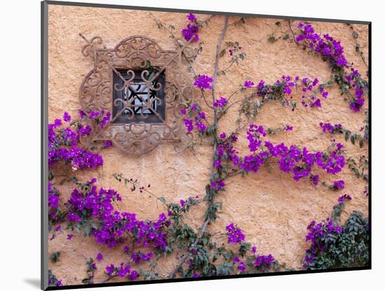 Ornamental Window, San Miguel De Allende, Mexico-Alice Garland-Mounted Photographic Print