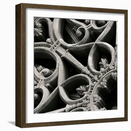 Ornamental-Tony Koukos-Framed Giclee Print