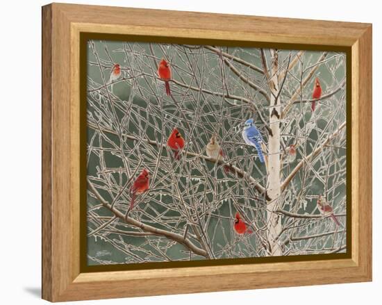 Ornaments-Fred Szatkowski-Framed Stretched Canvas