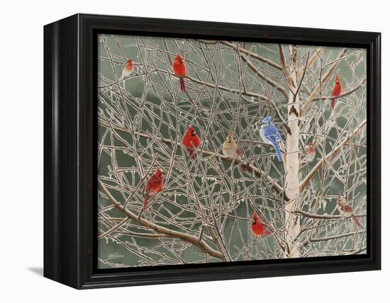 Ornaments-Fred Szatkowski-Framed Stretched Canvas