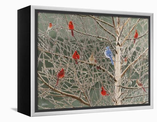 Ornaments-Fred Szatkowski-Framed Stretched Canvas