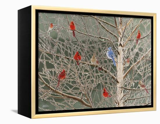 Ornaments-Fred Szatkowski-Framed Stretched Canvas