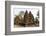 Ornate Carvings in Red Sandstone at Banteay Srei Temple in Angkor, Siem Reap, Cambodia-Michael Nolan-Framed Photographic Print