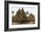 Ornate Carvings in Red Sandstone at Banteay Srei Temple in Angkor, Siem Reap, Cambodia-Michael Nolan-Framed Photographic Print