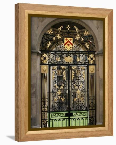 Ornate Gilt Gate of All Souls' College, Oxford, Oxfordshire, England, United Kingdom-Ruth Tomlinson-Framed Premier Image Canvas