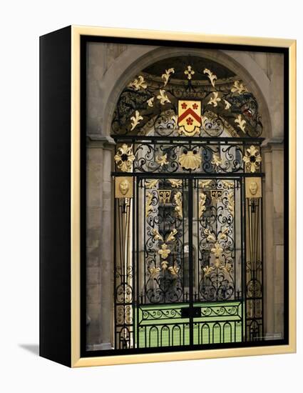 Ornate Gilt Gate of All Souls' College, Oxford, Oxfordshire, England, United Kingdom-Ruth Tomlinson-Framed Premier Image Canvas