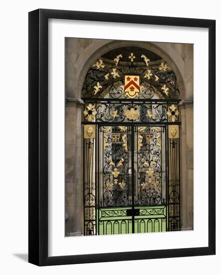 Ornate Gilt Gate of All Souls' College, Oxford, Oxfordshire, England, United Kingdom-Ruth Tomlinson-Framed Photographic Print