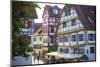 Ornate Half Timbered Houses in Ulm's Fishermen and Tanners' District, Ulm, Baden-Wurttemberg-Doug Pearson-Mounted Photographic Print