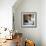 Ornate Marble Staircase in Apartment Building, Havana, Cuba, West Indies, Central America-Lee Frost-Framed Photographic Print displayed on a wall