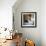 Ornate Marble Staircase in Apartment Building, Havana, Cuba, West Indies, Central America-Lee Frost-Framed Photographic Print displayed on a wall