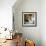 Ornate Marble Staircase in Apartment Building, Havana, Cuba, West Indies, Central America-Lee Frost-Framed Photographic Print displayed on a wall