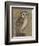 Ornate Owl I-Norman Wyatt Jr.-Framed Premium Giclee Print