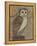 Ornate Owl I-Norman Wyatt Jr.-Framed Stretched Canvas