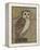 Ornate Owl I-Norman Wyatt Jr.-Framed Stretched Canvas