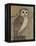 Ornate Owl I-Norman Wyatt Jr.-Framed Stretched Canvas