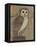 Ornate Owl I-Norman Wyatt Jr.-Framed Stretched Canvas