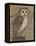 Ornate Owl I-Norman Wyatt Jr.-Framed Stretched Canvas