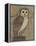 Ornate Owl I-Norman Wyatt Jr.-Framed Stretched Canvas