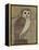 Ornate Owl I-Norman Wyatt Jr.-Framed Stretched Canvas