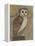 Ornate Owl I-Norman Wyatt Jr.-Framed Stretched Canvas