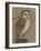 Ornate Owl I-Norman Wyatt Jr.-Framed Art Print