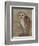 Ornate Owl II-Norman Wyatt Jr.-Framed Art Print