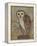 Ornate Owl II-Norman Wyatt Jr.-Framed Stretched Canvas