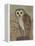 Ornate Owl II-Norman Wyatt Jr.-Framed Stretched Canvas