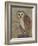 Ornate Owl II-Norman Wyatt Jr.-Framed Art Print