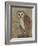 Ornate Owl II-Norman Wyatt Jr.-Framed Art Print