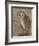 Ornate Owl II-Norman Wyatt Jr.-Framed Art Print