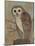 Ornate Owl II-Norman Wyatt Jr.-Mounted Art Print