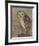 Ornate Owl II-Norman Wyatt Jr.-Framed Art Print