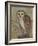 Ornate Owl II-Norman Wyatt Jr.-Framed Art Print