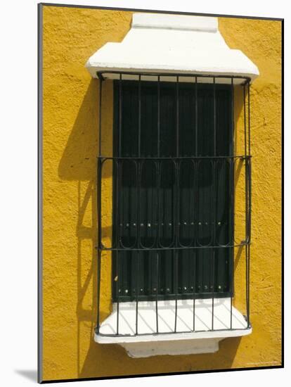 Ornate Window, Ciudad Bolivar, Venezuela, South America-Mark Chivers-Mounted Photographic Print