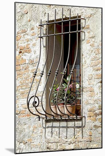 Ornate Window Grill Cetona-Dorothy Berry-Lound-Mounted Giclee Print