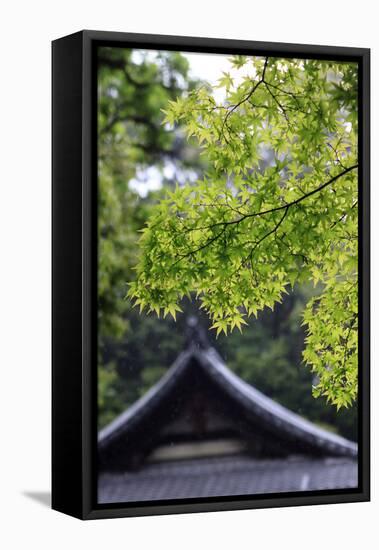 Ornately Designed Roof and Japanese Maple Leaves at the Golden Temple, Kyoto, Japan-Paul Dymond-Framed Premier Image Canvas
